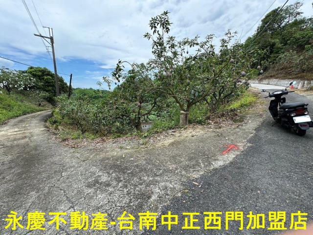 玉井農地-8