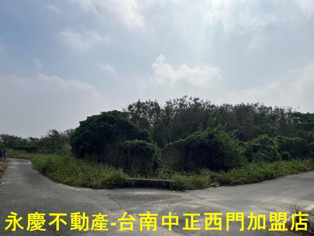 佳里農地-2