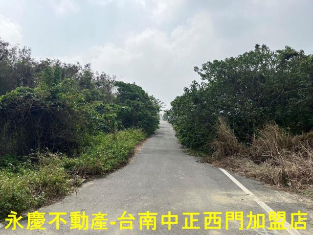 佳里農地-3