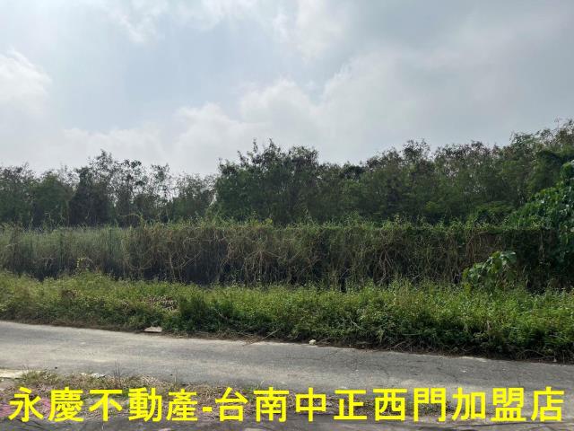 佳里農地-5