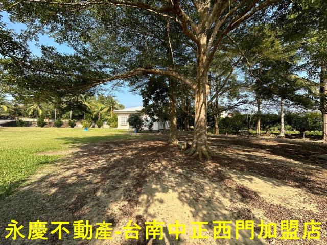 台南南化農地-9
