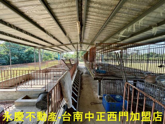 台南南化農地-13