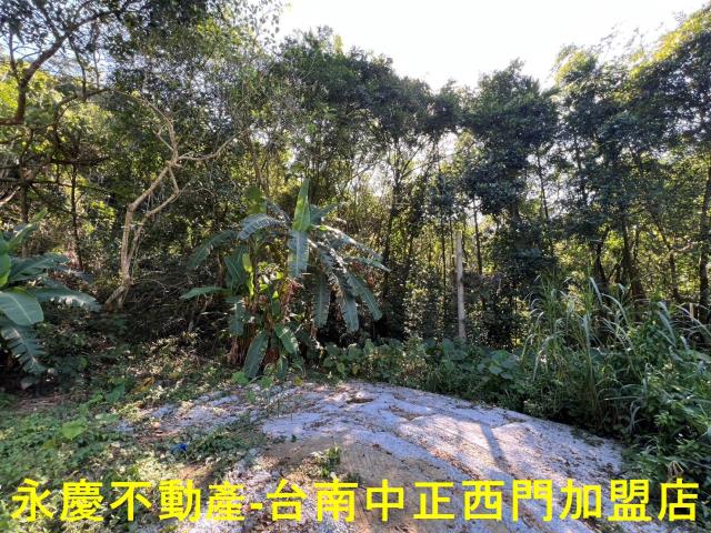 台南白河農地-0