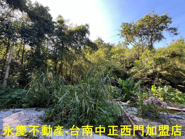 台南白河農地-1