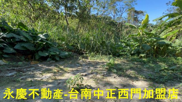 台南白河農地-2