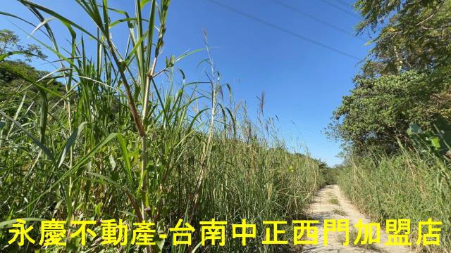 台南白河農地-3