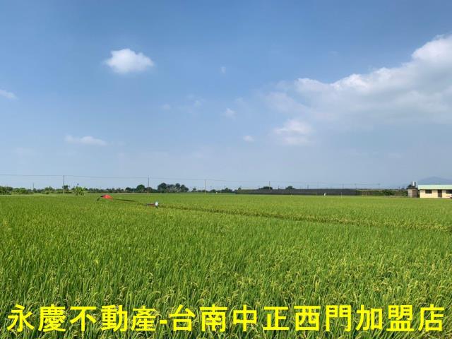 台南農地-9