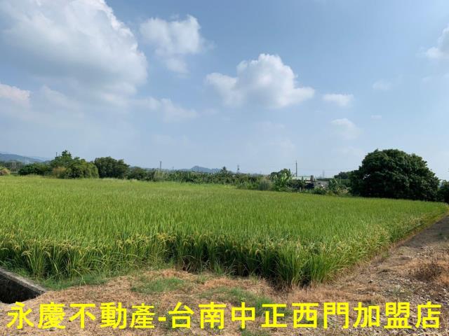 台南農地-11