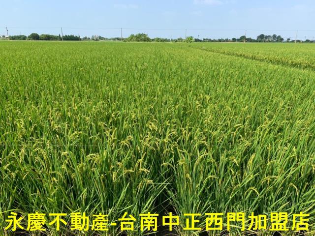 台南農地-12