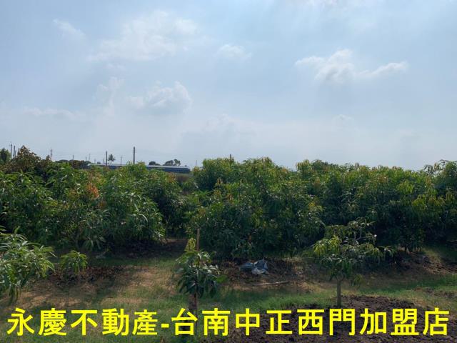 台南農地-4
