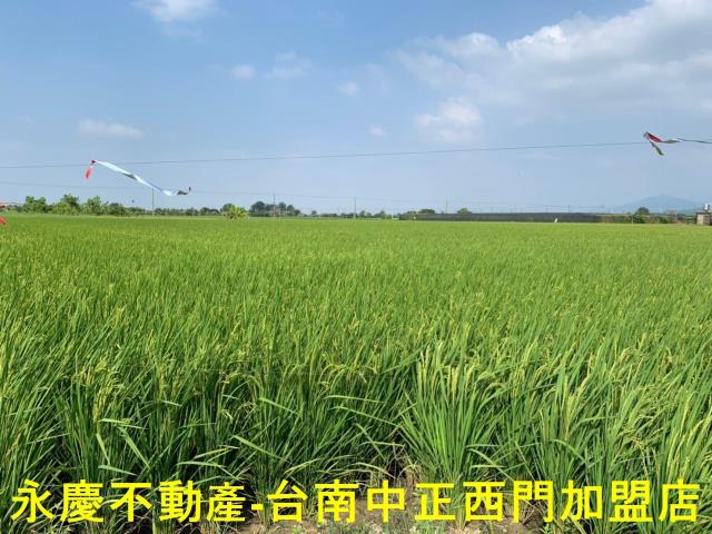 台南農地-5