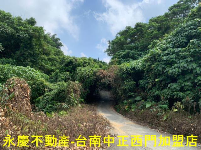 台南農地-10