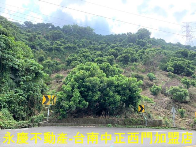 台南農地-2