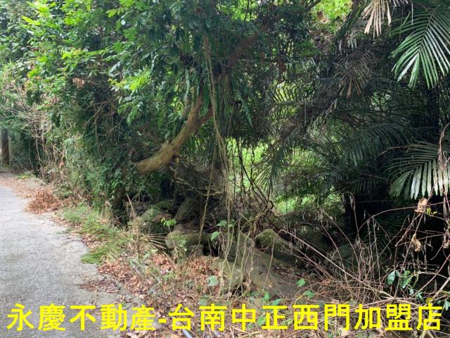 台南農地-3