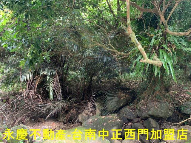 台南農地-4