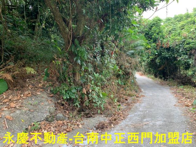 台南農地-5