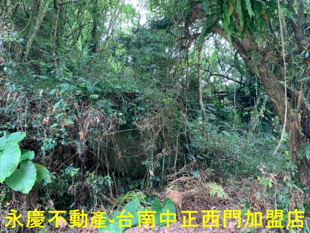 台南農地-8