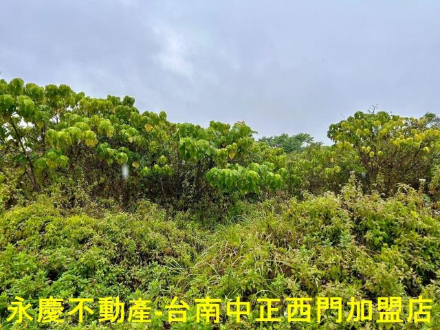 楠西農地-9