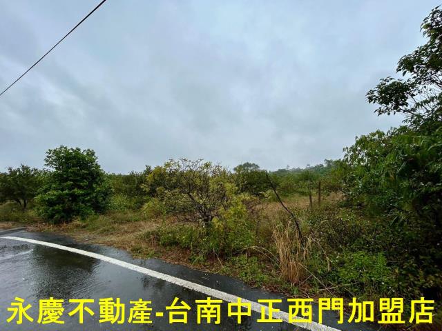 楠西農地-11