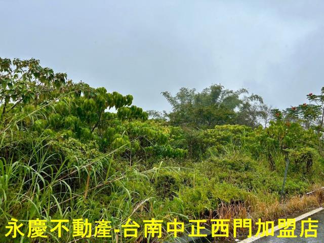 楠西農地-4