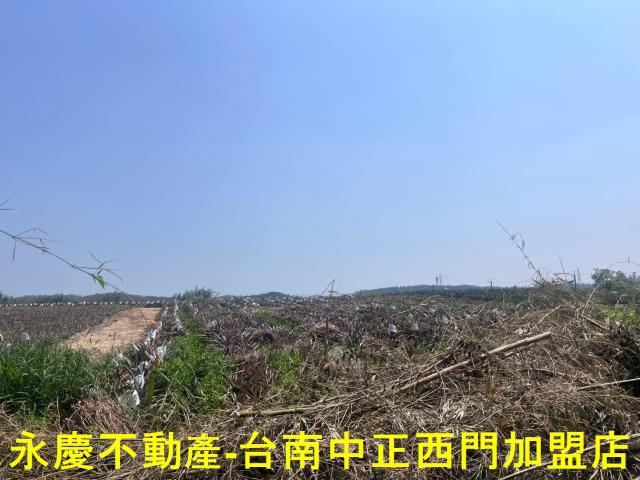 台南關廟農地-1