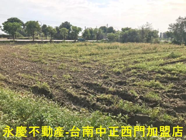 台南白河農地-3