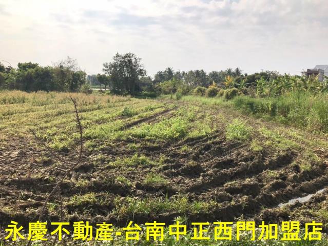 台南白河農地-4