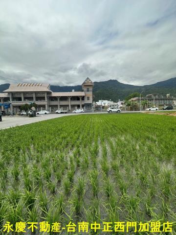 台東關山農地-3