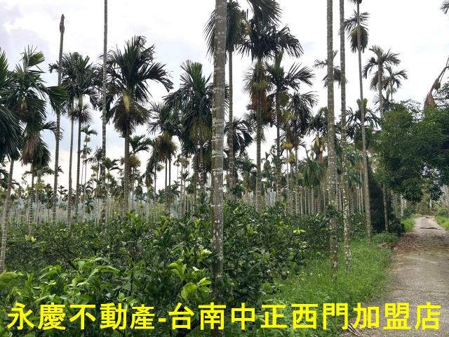 白河農地-2