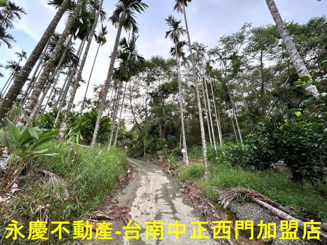 白河農地-4