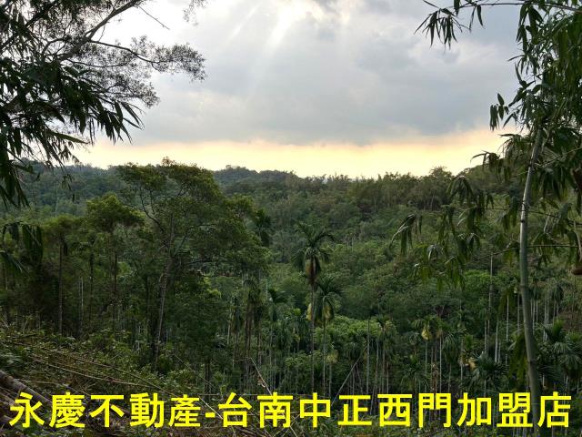 白河農地-5