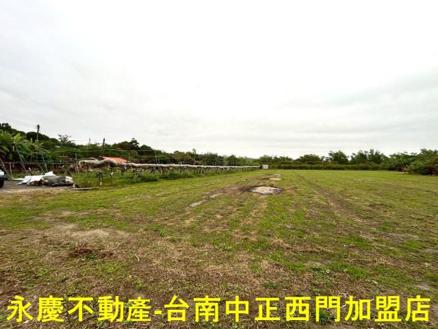 左鎮農地-11