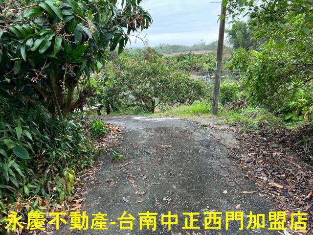 左鎮農地-0
