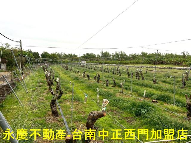 左鎮農地-1