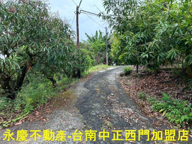 左鎮農地-3
