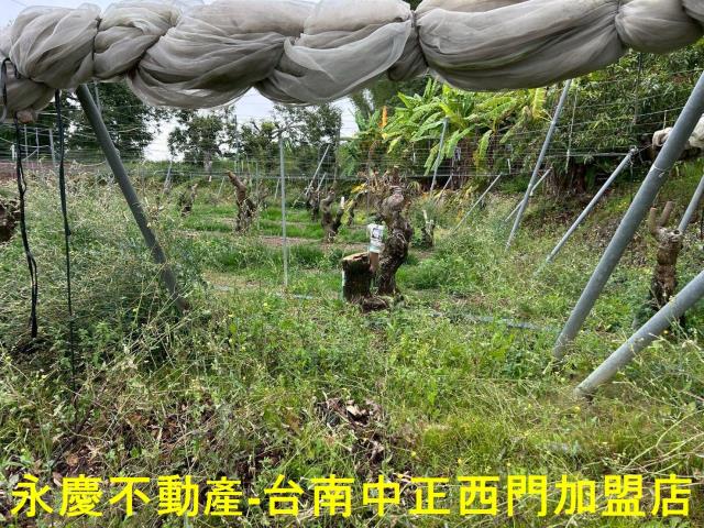 左鎮農地-5