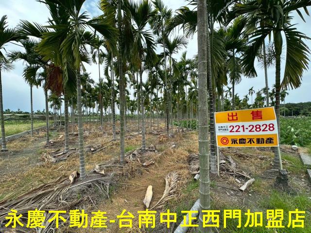 屏東農地-0