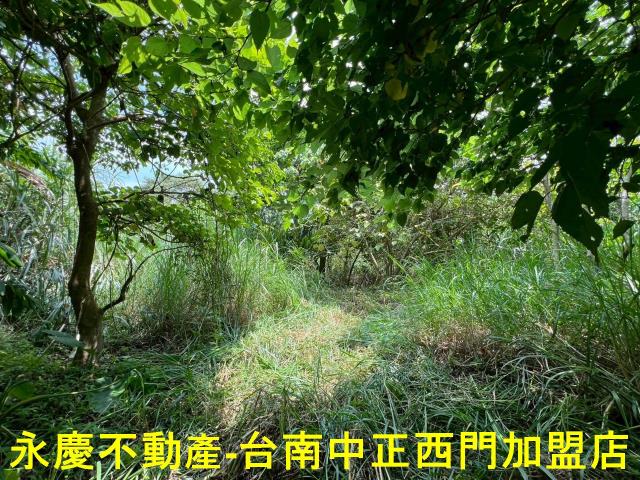 台南東山農地-13