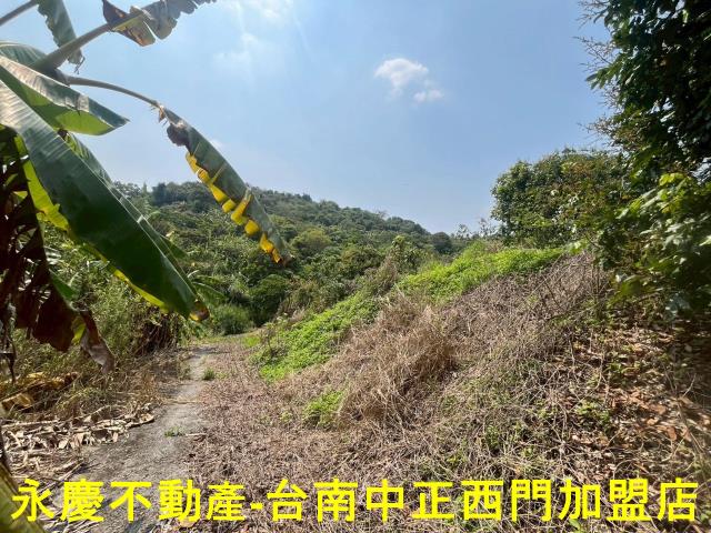 台南東山農地-2