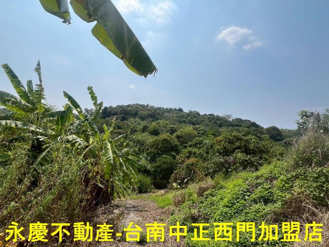 台南東山農地-3