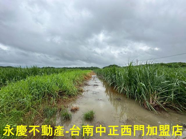 山上農地-11