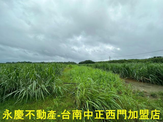 山上農地-12