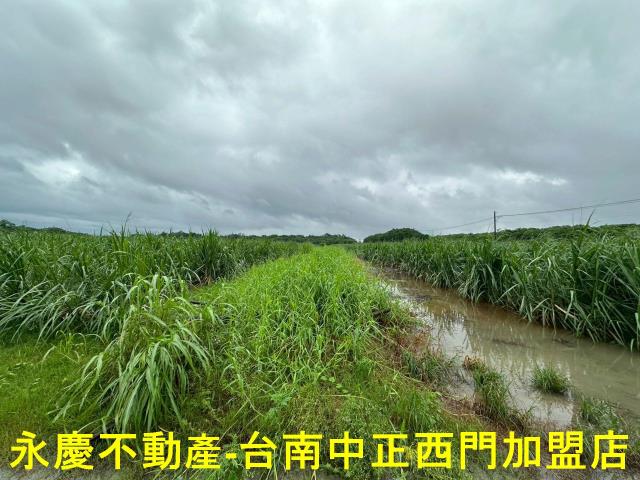 山上農地-13