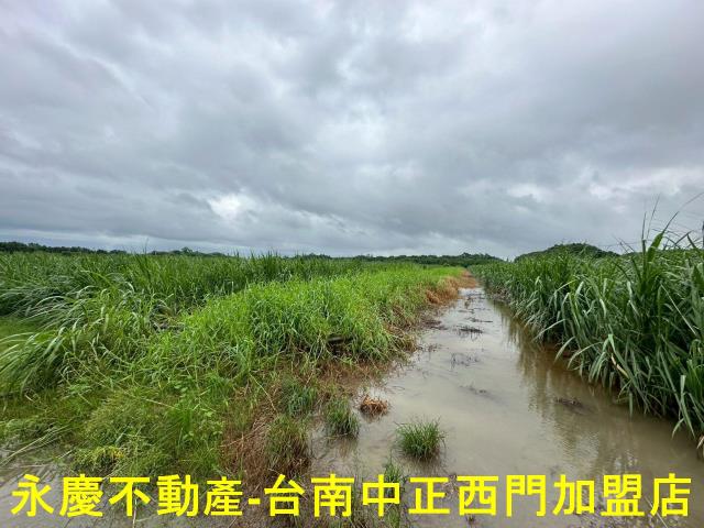山上農地-0