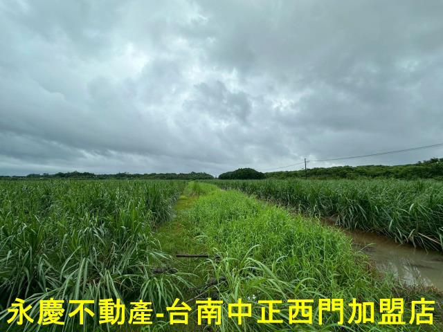 山上農地-3