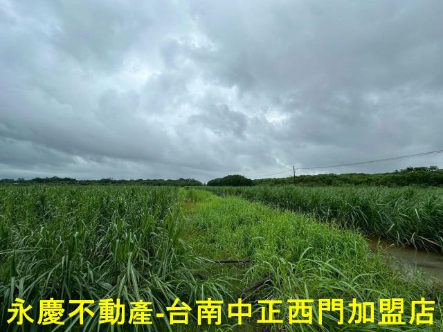 山上農地-4