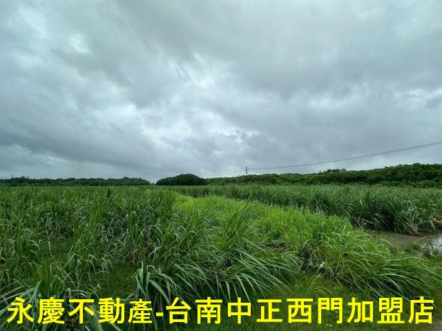 山上農地-5