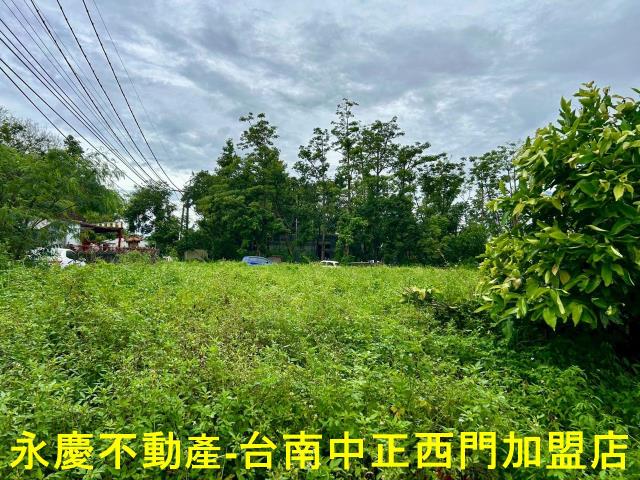 池上農地-7