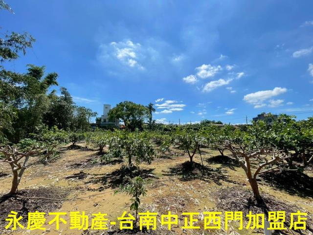 台南山上農地-12
