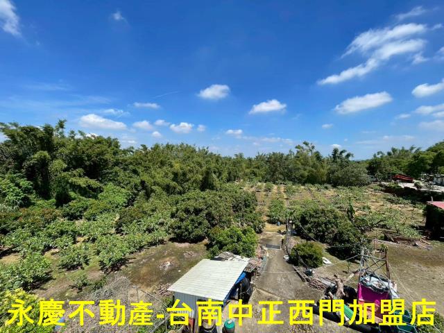 台南山上農地-14